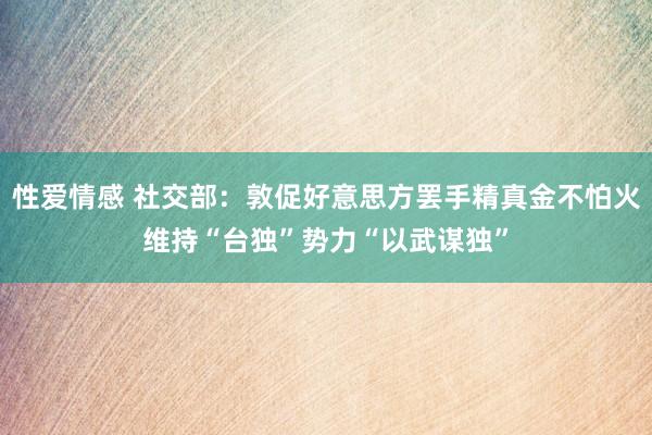 性爱情感 社交部：敦促好意思方罢手精真金不怕火维持“台独”势力“以武谋独”