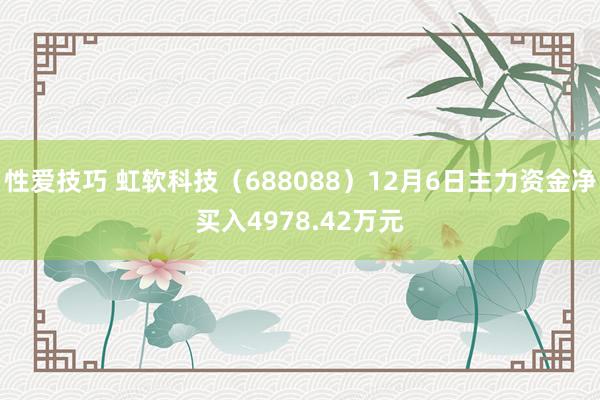 性爱技巧 虹软科技（688088）12月6日主力资金净买入4978.42万元