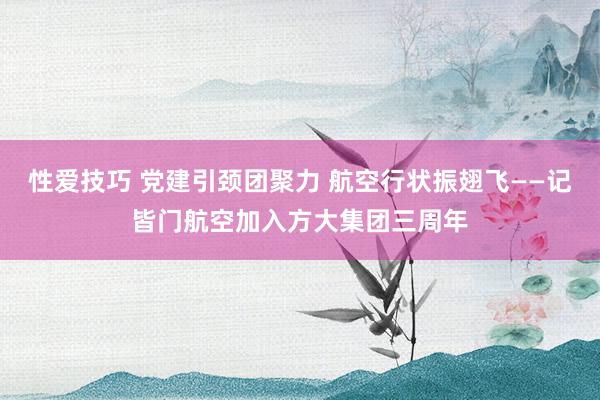 性爱技巧 党建引颈团聚力 航空行状振翅飞——记皆门航空加入方大集团三周年