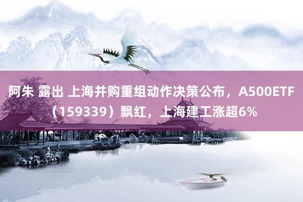 阿朱 露出 上海并购重组动作决策公布，A500ETF（159339）飘红，上海建工涨超6%