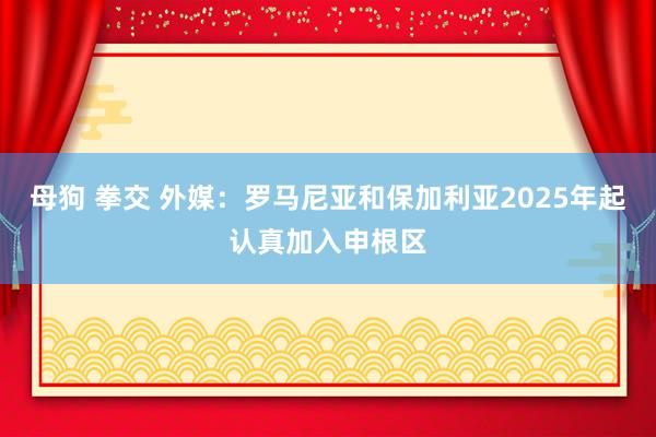 母狗 拳交 外媒：罗马尼亚和保加利亚2025年起认真加入申根区