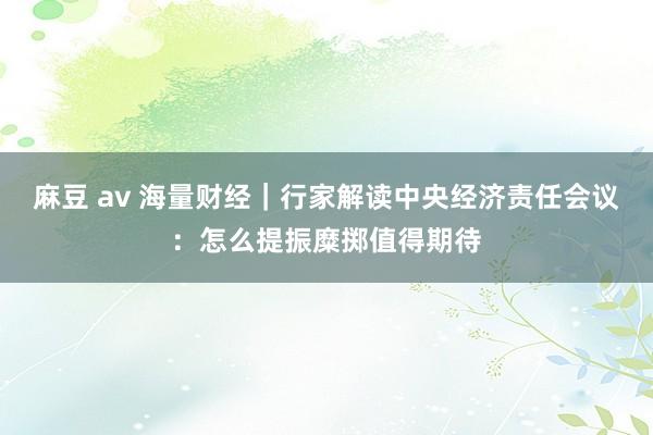 麻豆 av 海量财经｜行家解读中央经济责任会议：怎么提振糜掷值得期待