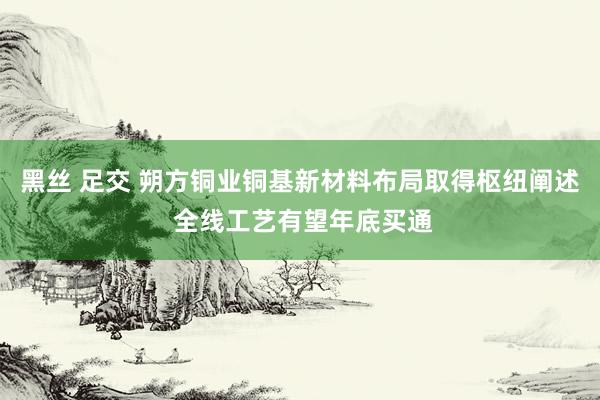 黑丝 足交 朔方铜业铜基新材料布局取得枢纽阐述 全线工艺有望年底买通