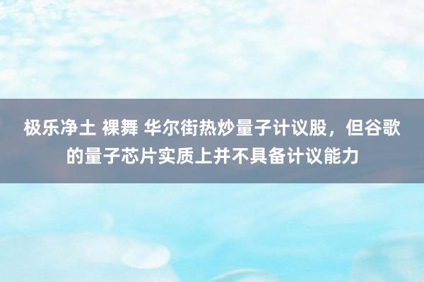 极乐净土 裸舞 华尔街热炒量子计议股，但谷歌的量子芯片实质上并不具备计议能力