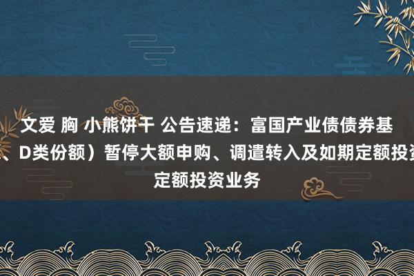 文爱 胸 小熊饼干 公告速递：富国产业债债券基金（A、D类份额）暂停大额申购、调遣转入及如期定额投资业务