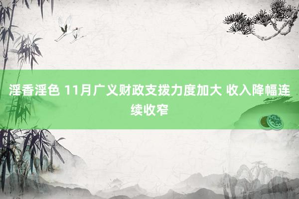 淫香淫色 11月广义财政支拨力度加大 收入降幅连续收窄