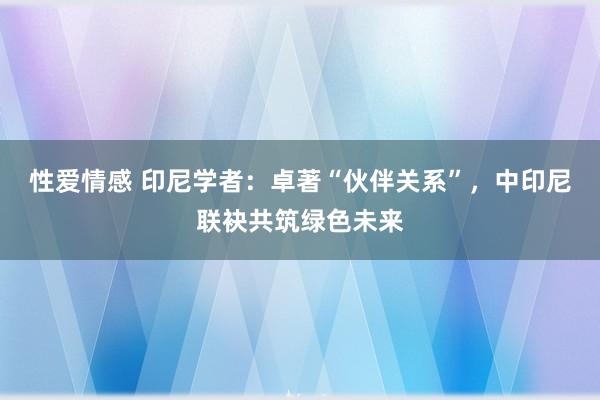 性爱情感 印尼学者：卓著“伙伴关系”，中印尼联袂共筑绿色未来