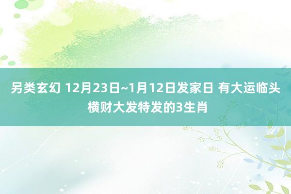 另类玄幻 12月23日~1月12日发家日 有大运临头 横财大发特发的3生肖