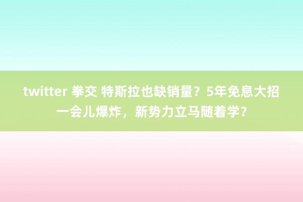 twitter 拳交 特斯拉也缺销量？5年免息大招一会儿爆炸，新势力立马随着学？