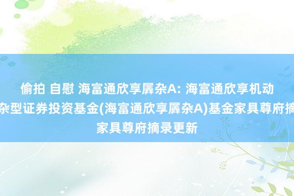 偷拍 自慰 海富通欣享羼杂A: 海富通欣享机动设置羼杂型证券投资基金(海富通欣享羼杂A)基金家具尊府摘录更新