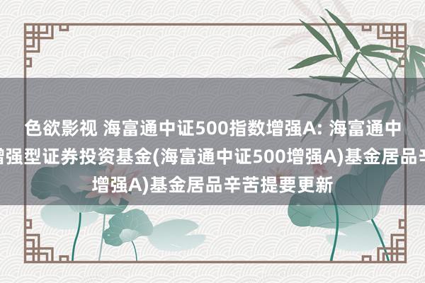 色欲影视 海富通中证500指数增强A: 海富通中证500指数增强型证券投资基金(海富通中证500增强A)基金居品辛苦提要更新