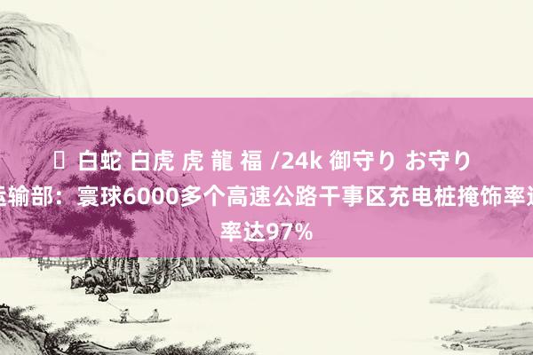 ✨白蛇 白虎 虎 龍 福 /24k 御守り お守り 交通运输部：寰球6000多个高速公路干事区充电桩掩饰率达97%