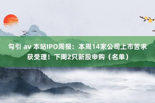 勾引 av 本站IPO周报：本周14家公司上市苦求获受理！下周2只新股申购（名单）