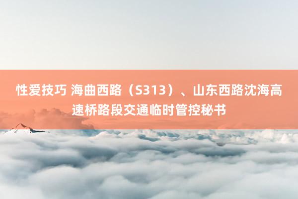 性爱技巧 海曲西路（S313）、山东西路沈海高速桥路段交通临时管控秘书