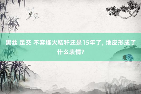 黑丝 足交 不容烽火秸秆还是15年了， 地皮形成了什么表情?