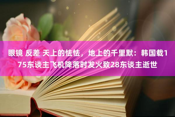 眼镜 反差 天上的怯怯，地上的千里默：韩国载175东谈主飞机降落时发火致28东谈主逝世