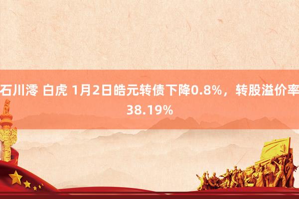 石川澪 白虎 1月2日皓元转债下降0.8%，转股溢价率38.19%