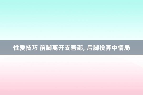 性爱技巧 前脚离开支吾部， 后脚投奔中情局