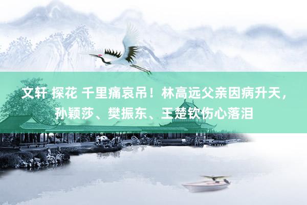 文轩 探花 千里痛哀吊！林高远父亲因病升天，孙颖莎、樊振东、王楚钦伤心落泪