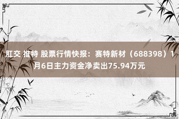 肛交 推特 股票行情快报：赛特新材（688398）1月6日主力资金净卖出75.94万元