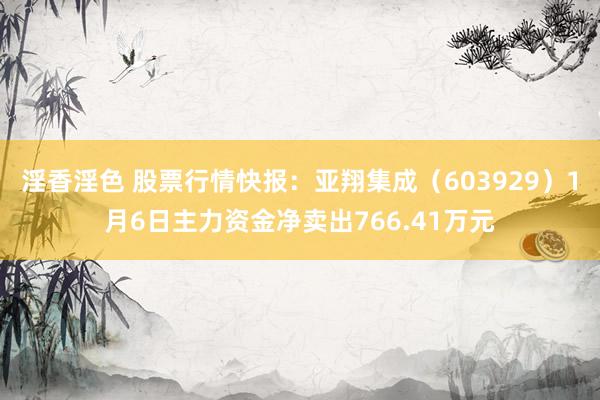 淫香淫色 股票行情快报：亚翔集成（603929）1月6日主力资金净卖出766.41万元