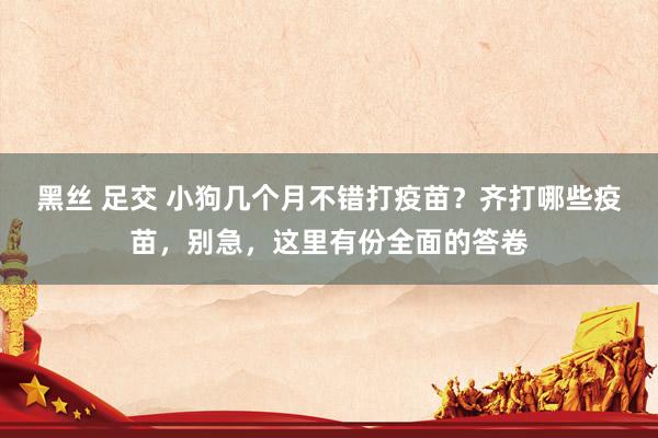 黑丝 足交 小狗几个月不错打疫苗？齐打哪些疫苗，别急，这里有份全面的答卷