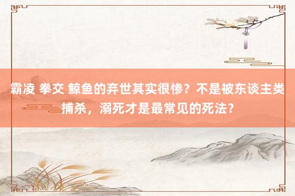 霸凌 拳交 鲸鱼的弃世其实很惨？不是被东谈主类捕杀，溺死才是最常见的死法？