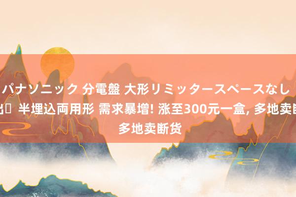 パナソニック 分電盤 大形リミッタースペースなし 露出・半埋込両用形 需求暴增! 涨至300元一盒， 多地卖断货