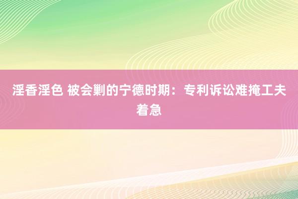 淫香淫色 被会剿的宁德时期：专利诉讼难掩工夫着急