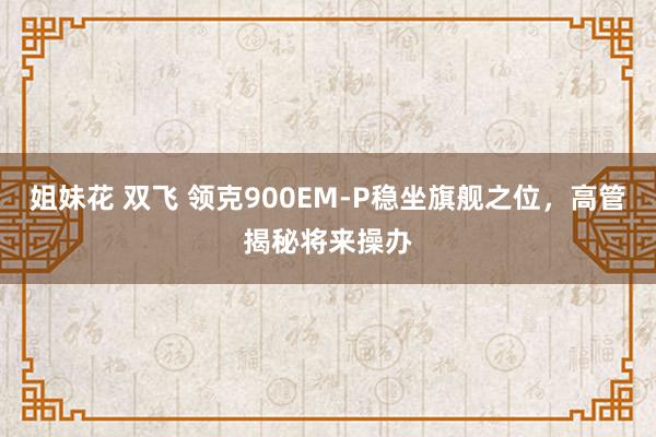 姐妹花 双飞 领克900EM-P稳坐旗舰之位，高管揭秘将来操办