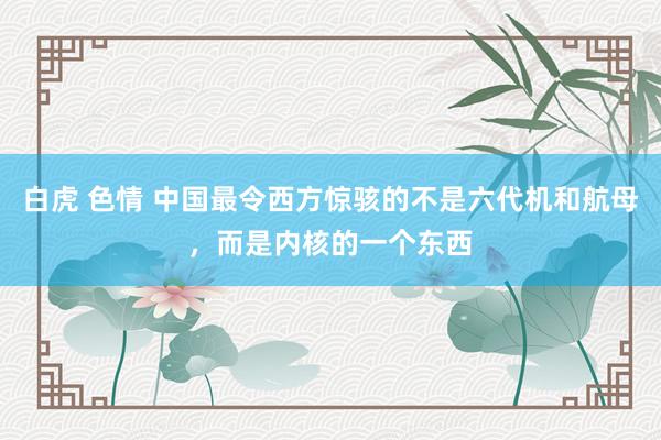 白虎 色情 中国最令西方惊骇的不是六代机和航母，而是内核的一个东西