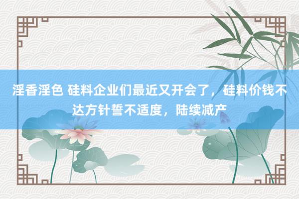 淫香淫色 硅料企业们最近又开会了，硅料价钱不达方针誓不适度，陆续减产