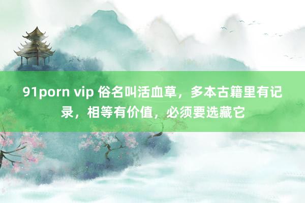 91porn vip 俗名叫活血草，多本古籍里有记录，相等有价值，必须要选藏它