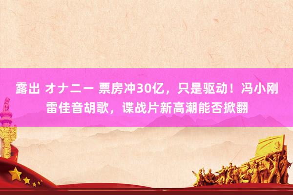 露出 オナニー 票房冲30亿，只是驱动！冯小刚雷佳音胡歌，谍战片新高潮能否掀翻