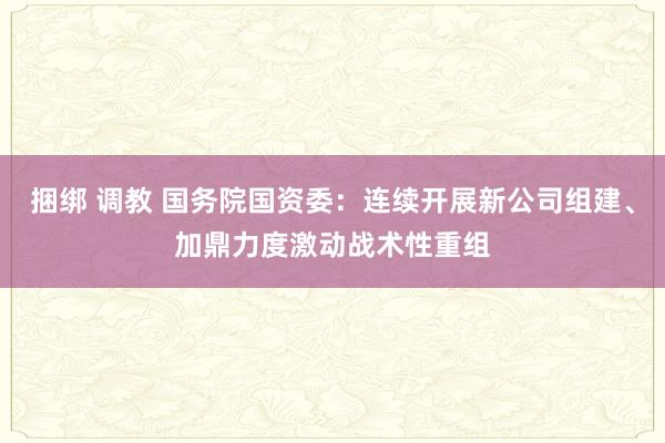 捆绑 调教 国务院国资委：连续开展新公司组建、加鼎力度激动战术性重组